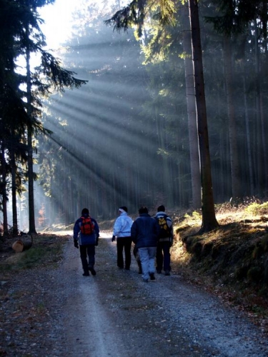 Na tomto rozeklaném hřebínku můžeme nalézt vrcholy Vysoké Běty (805 m n. m.), Buglata (842 m n. m.) a další. 