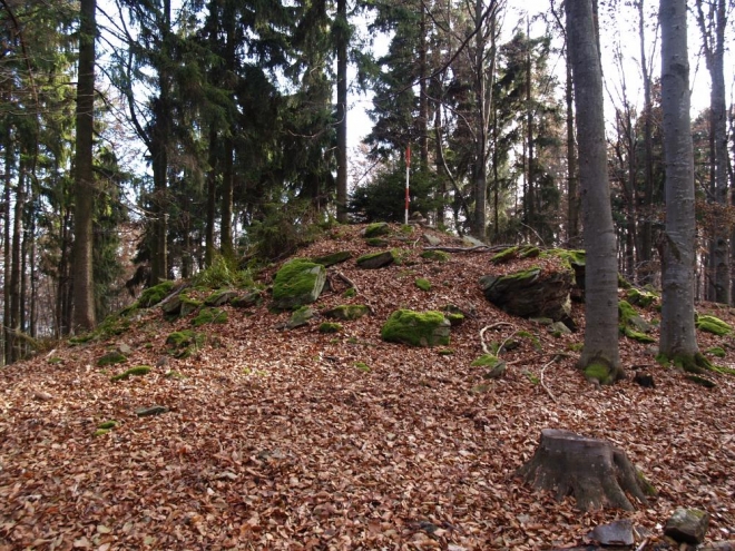 Albertov (932 m.n.m.) má mít v sobě ukrytou silnou energii. Bohužel jde o energii negativní a tak při hledání vrcholu bloudíme, zakopáváme o zrádné kořeny i o sebe navzájem. Nakonec se nahoru přece jen trefujeme, ale hladoví a žíznivý siestu odkládáme na neurčito (k Bulovému).