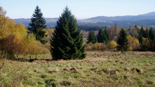 Kolem jsou bývalé pastviny, dnes nevyužívané a panuje tady klid a mír. Kocháme se výhledy ke Chlumu a Knížecímu Stolci.
