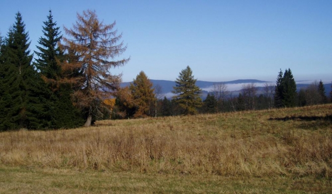 A sem tam nějaká ta liška...