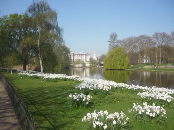 Pohled na Buckinghamský palác