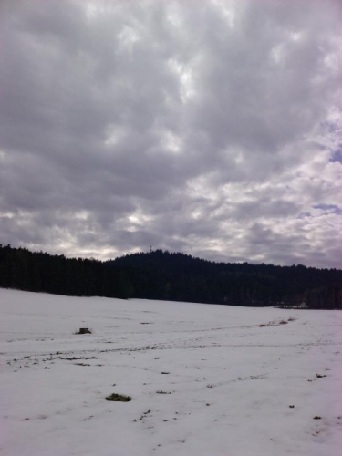Rozhledna na kopci