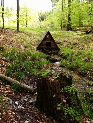 Studánka vypadá poeticky a tak se s ní loučíme téměř s pláčem. Čas však kvapí a musíme dále.