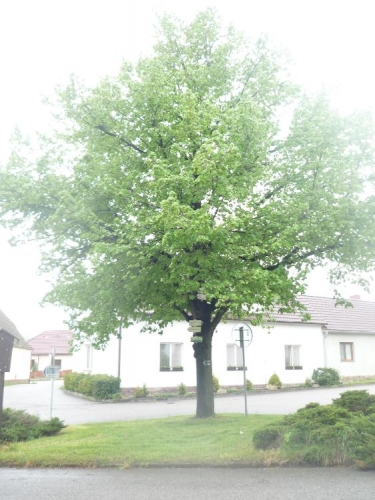 Směrovky v Chelčicích