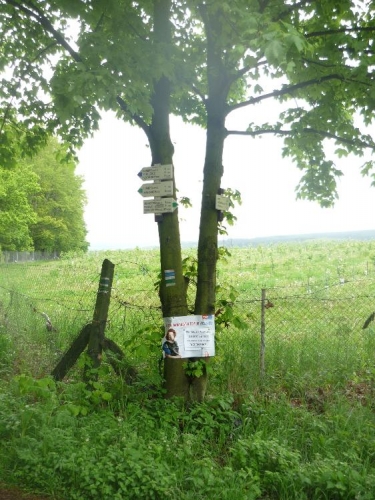 Další směrovky