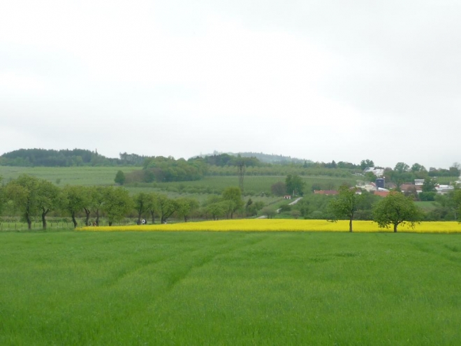 Cesta