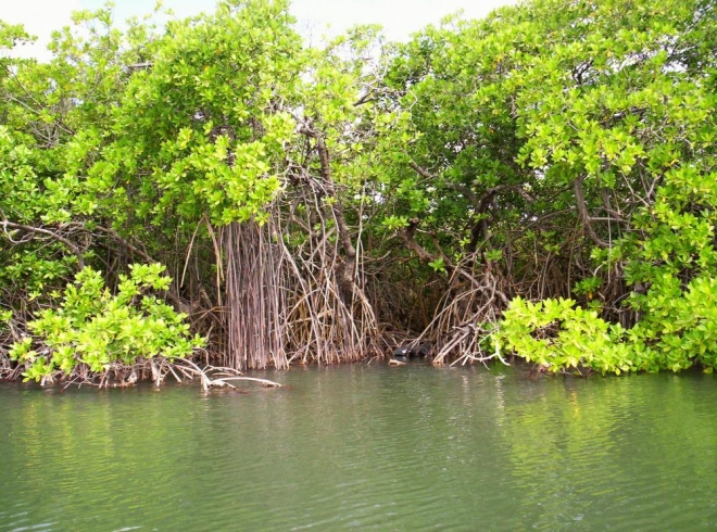 Carriacou