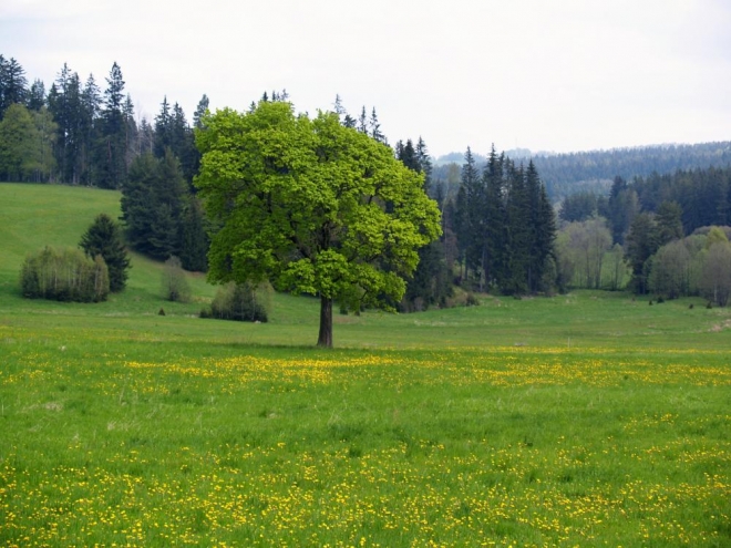 Krajinou luk a lesů stále nabíráme výšku, většina naší cesty vede v tisíci metrech.