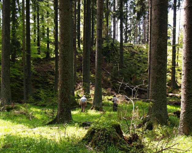 Korunáček (kousek západněji je i trochu nižší Korunáč) má na vrcholu skutečně jakousi korunku z kamenných bloků. Kluci jdou na vrchol rozhlédnout se kudy dál.