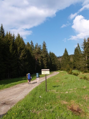 Na Zlaté, kde jsme původně chtěli v seníku přespat, se nedohodneme a tak ještě kousek cesty scházíme k potoku (Blanici) a tam hledáme slušné sušší místu na spaní. Cesta Prasečí houštiny nás zavádí na místo, kde budeme kempovat. Kolem je dost vyšlapaných stezek zvířat. Jakých asi?