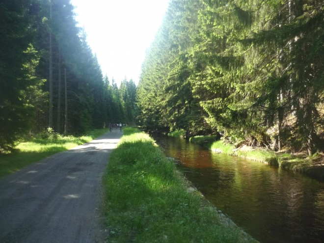 Cyklostezka kolem kanálu