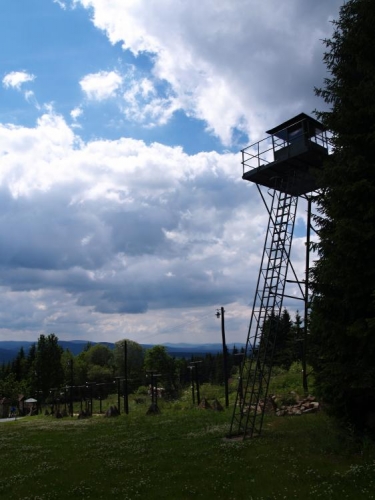 Ta monstra si z počátků 90-tých let ješte dobře pamatuji. Byla po obou stranách bývalých drátěných plotů nedaleko Kvildy, při cestě k pramenům Vltavy. A samozřejmě na mnoha dalších návrších, kam jen oko dohlédlo. Děkuji pěkně...