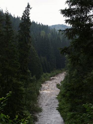 S výhledem na Blanici je tu vhodné místo pro meditaci. Poseďme v hlouby lesa a přenesme se do dob, kdy v polovině února 1441 byl hrad obležen krajskou hotovostí a kdy se nakonec po více než půlročním obléhání(8. září 1441), hradní Smilkova posádka a spolu s ní i Habart Lopata, pro nedostatek potravin vzdala.