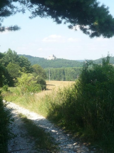Rabí
