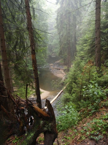 Chřibská Kamenice