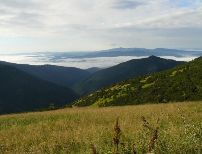 Ranní pohled na Rudohoří