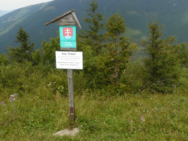 Na vrcholu je rezervace a vypadá to, že je co chránit.