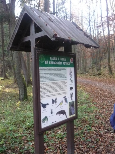 O zdejší fauně a flóře