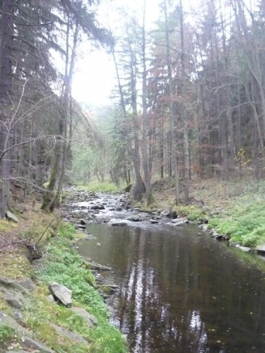 Potok stále s námi