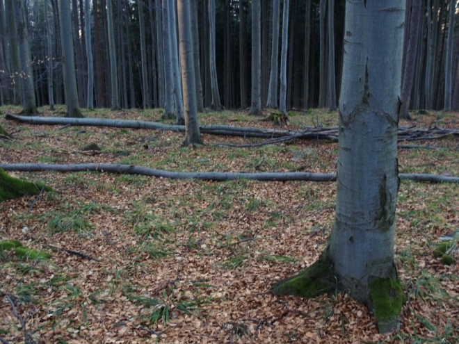 Nedaleko pod námi jsou vidět docela velké skály a tak odkládáme svačinku a klesáme k nim. Nahoře stejně dost profukuje.