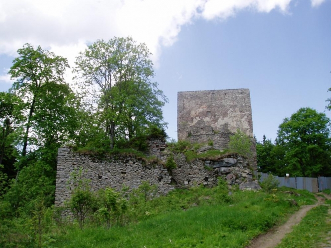 Vítkův kámen 1053m vysoký vrch je místem nejvýše položená zříceniny hradu v Čechách. Hrad založili ve 13. století Vítkovci a nedlouho poté přešel do majetku Rožmberků. V 16. století byl připojen k panství českokrumlovskému, ale ztratil význam a koncem 17. století začal pustnout. Až v roce 1869 proběhly opravy, které v současné době pokračují. Zachovala se třípatrová obranná věž na skále a opevnění s bastiony ze 16. nebo 17. století. 