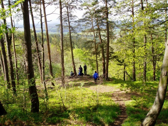 Šumavská vyhlídka