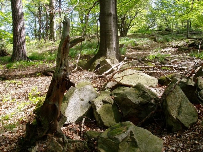 Hřeben Hradu