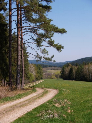 Pohled zpět k Mlýnci, ten jsme zkratkou minuli.