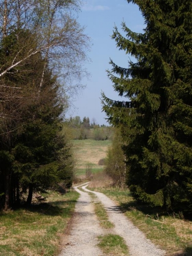 Konečně přicházíme na Kapličky, kde jsme před lety s kluky přespali.