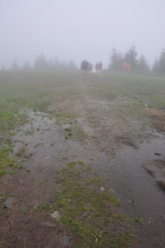 Zprvu je poněkud vlhko.