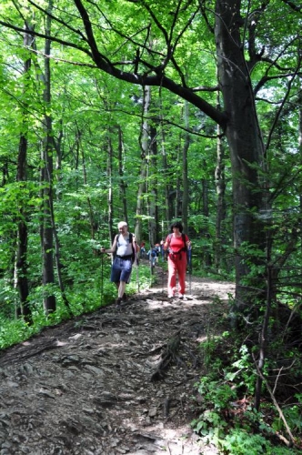 Při sestupu naštěstí můžeme využít zelenou značku a tak se dá udělat klasický turistický okruh. Stezka je velmi dobře upravena a neklesá nijak ostře.