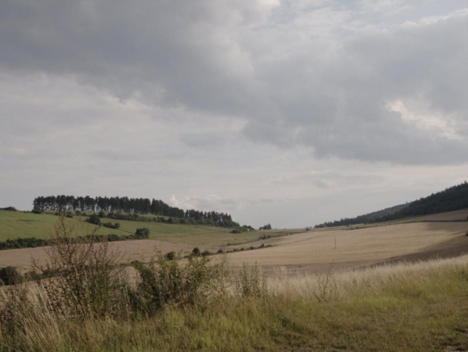 Krajina u Koněpruských jeskyní (Radim)