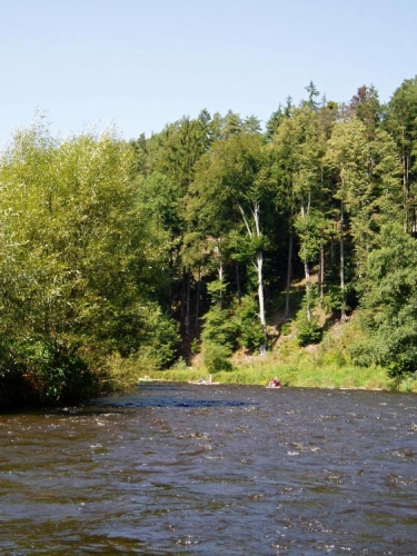 Vltava se stále kroutí a má spád, proplouváme krásnou krajinkou.