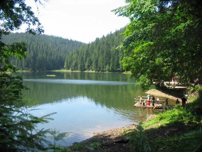 Siněvir