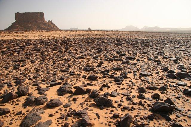 Sahara