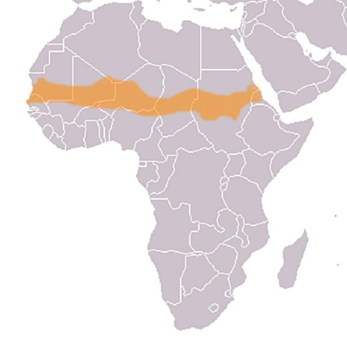 Sahel na mapě Afriky