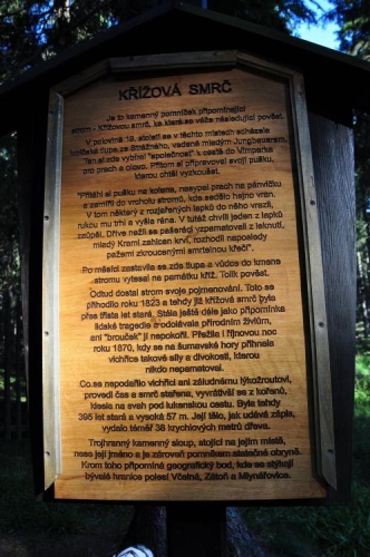 Křížová smrč.