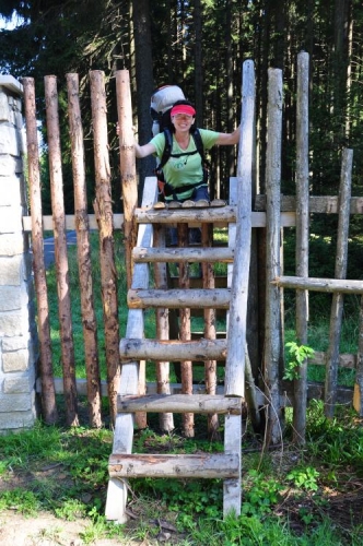 Přelézáme ohrazení do obory.