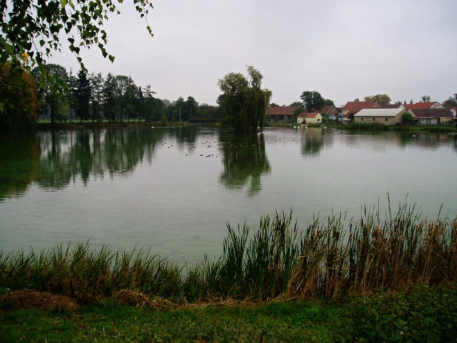 Rybník v Čejeticích.