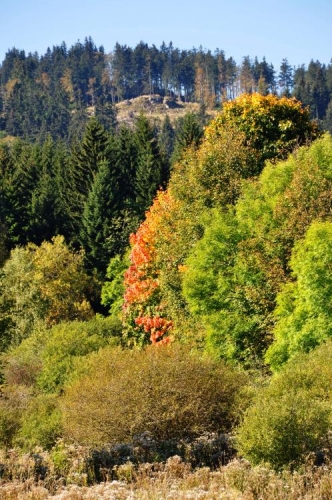 Míjíme i Lysou (1 228m), protože není kde zabočit a spoléháme na intuici. To naštěstí vyjde a tak můžeme konečně stoupat k vrcholu.