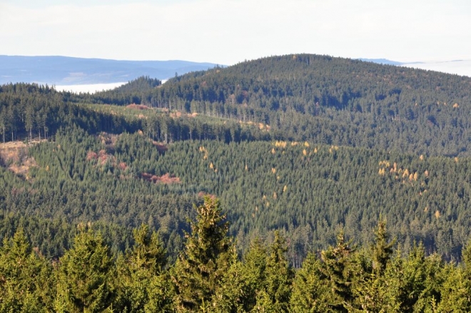 Blízký Ždánov.