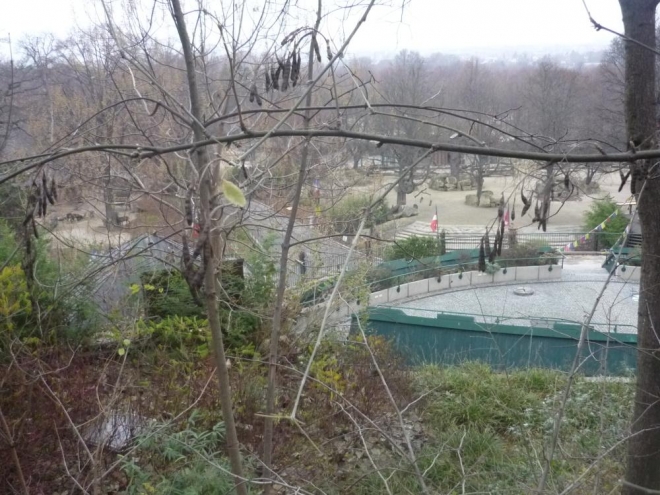 Pohled do Zoo