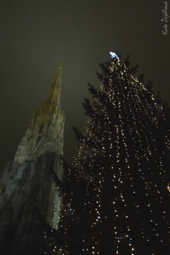 Stephansdom s vánočním stromem (Katka Žejdlová)