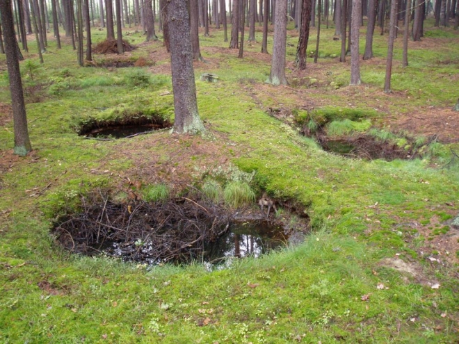 Na mnoha místech je jedna tůňka vedle druhé. Celkově je jich zde téměř tisícovka.