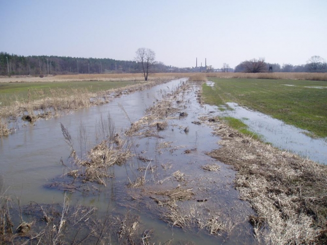 Soudný potok se na jaře pravidelně rozvodní.
