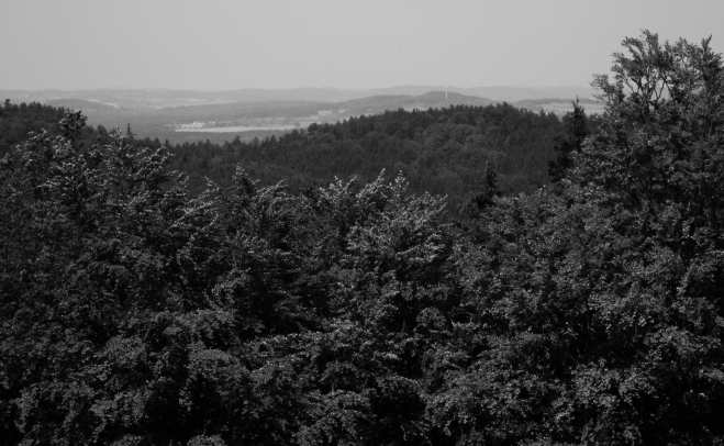 Výhled k Velkému Kamýku od Paseckého vrchu (625 m).