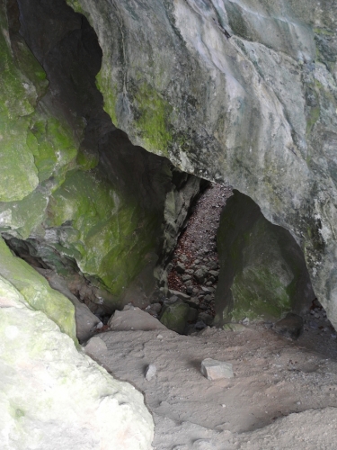 Český paleontolog Jan Nepomuk Woldřich tady v letech 1880-83 nalezl pozůstatky 70 zvířecích druhů, asi 9000 kostí a 13000 zubů, mladopleistocenní a holocenní fauny, např. i nosorožce srstnatého. Dodnes jsou na některých úlomcích vápence patrné také otisky pravěkých plavuní.