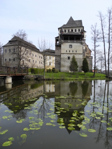  ZÁMECKÝ PARK  Zámecký park má rozlohu 42ha a můžete se v něm procházet dosytosti. Veřejnosti je totiž trvale přístupný. Původní oboru nechal v přední části  upravit ve stylu anglického parku František Hildprandt. Zádní část parku je v původní podobě se sejpy dávných rýžovišť zlata a staletými stromy.   Velkou atrakcí zámeckého parku je pak stádečko daňků skvrnitých, kteří se zde volně pohybují mezi věkovitými duby a jsou velmi krotcí. Proto je i my můžeme krmit přímo z ruky a fotit "z očí do očí...".  