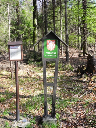 Procházíme Přírodní park Třemšín a také několik Přírodních rezervací, tento se jmenuje Na Skalách.