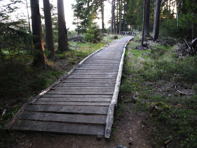 Konečně přicházíme k Padrťským rybníkům, máme toho dnes dost, 30 km po asfaltových cestách je znát. 